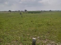 serviced land for sale in Tsopoli-Ningo Prampram District