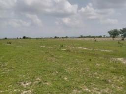 serviced land for sale in Tsopoli Township-Ningo Prampram District