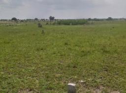 serviced land for sale in Tsopoli Township-Ningo Prampram District