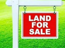 land for sale in 100 acres of land for sale at East Legon