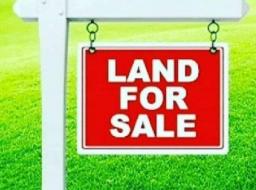 land for sale in 100 acres of land for sale at East Legon