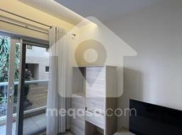 2 bedroom furnished apartment for rent in Airport Area