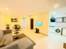 1 bedroom furnished apartment for rent in East Airport