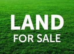 land for sale in 200 acres of land available for sale at 