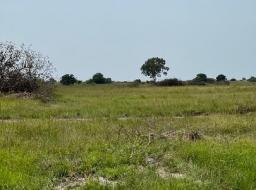 serviced land for sale in TSOPOLI NEW AIRPORT