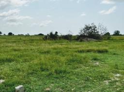 serviced land for sale in TSOPOLI NEW AIRPORT