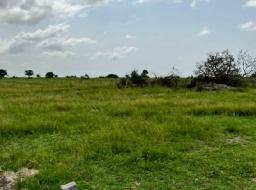 serviced land for sale in TSOPOLI NEW AIRPORT