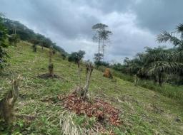 land for sale in Aburi