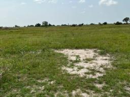 serviced land for sale at TSOPOLI NEW AIRPORT