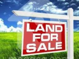 land for sale in Tse ADDO FOr SALE  Total land size : 1 a