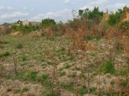 land for sale at Amrahia 