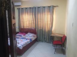 2 bedroom furnished apartment for rent in Spintex Baatsona