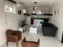 1 bedroom furnished apartment for rent in West Legon