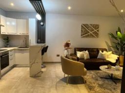 1 bedroom furnished apartment for sale at East Legon