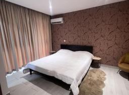 1 bedroom furnished apartment for rent in Cantonments