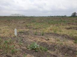 serviced land for sale in AFIENYA-JUICY SALES ON WELL NEATLY CLEAR