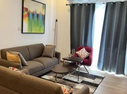2 bedroom furnished apartment for rent at East Legon