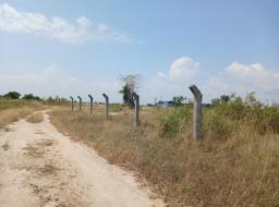 serviced land for sale at TSOPOLI- HOT SALE ON LANDS IN BEAUTIFUL 