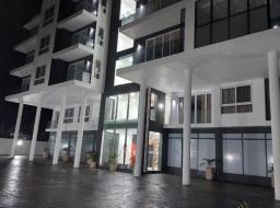 1 bedroom apartment for rent at Cantonments
