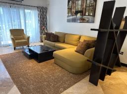1 bedroom furnished apartment for rent at Cantonments 