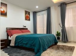 1 bedroom furnished apartment for rent in Airport Residential Area