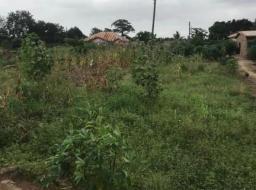 residential serviced land for sale in Akatamanso 