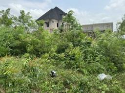 residential serviced land for sale in Borteyman 