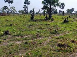 residential serviced land for sale in Ho Airport 