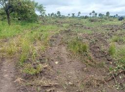 residential serviced land for sale in Ho Airport 