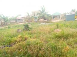  land for sale in Ashalaja