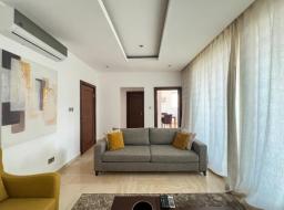 1 bedroom apartment for rent in Airport Residential Area