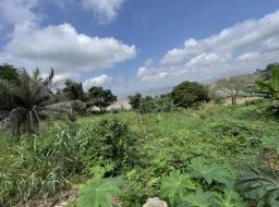 residential land for sale in Peduase