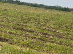  serviced land for sale in Ningo Prampram