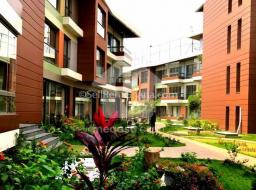 1 bedroom apartment for rent in Cantonments