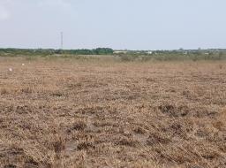  land for sale in TSOPOLI >>>> STANDARD VICINITY LANDS .