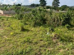 residential land for sale in Pokuase