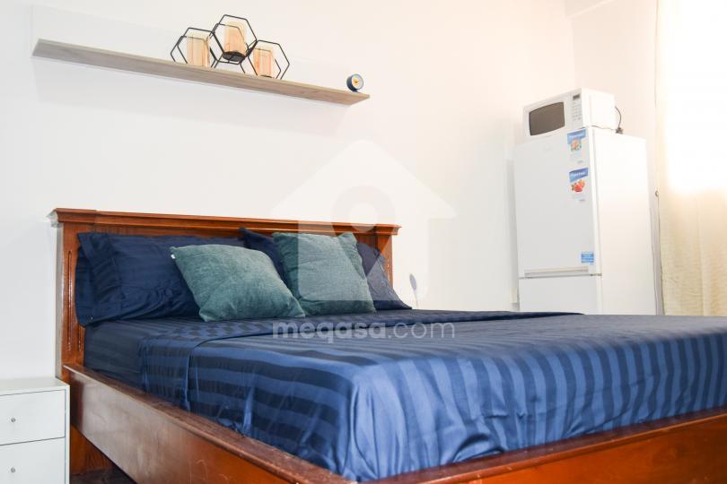 1 Bedroom Furnished Apartment For Rent At Adjiringanor 098454